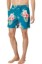 Picture of Hurley Men's Cannonball 17" Volley