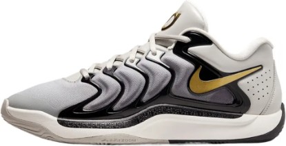 Picture of Nike KD17 Basketball Shoes (FJ9487-003, Light Iron Ore/Black/Sail/Metallic Gold)