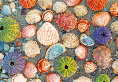 Picture of Ravensburger Puzzle Moment: by The Seashore 300 Piece Jigsaw Puzzle for Adults - 12001326 - Handcrafted Tooling, Made in Germany, Every Piece Fits Together Perfectly
