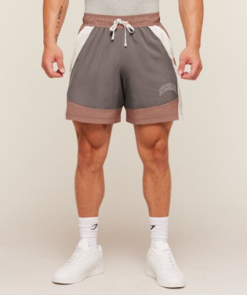 Picture of Collegiate Tech Shorts