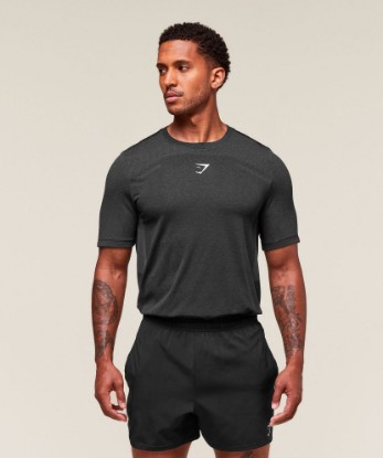 Picture of Lightweight Seamless T-Shirt